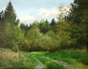 May Forest. Volkov Vladimir