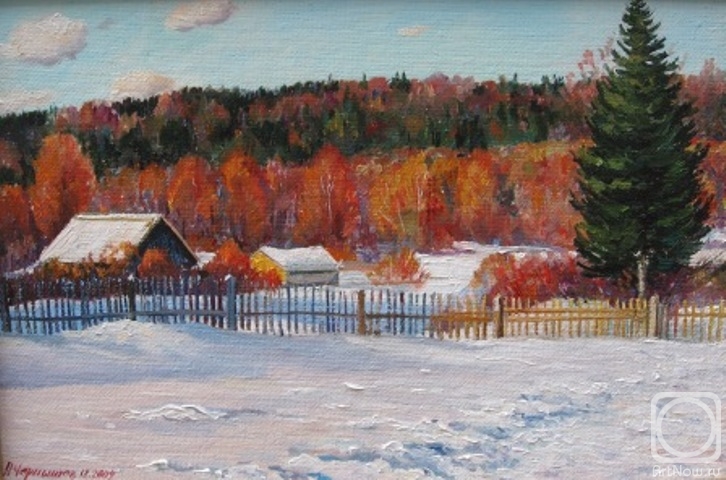 Chernyshev Andrei. Winter sunny day