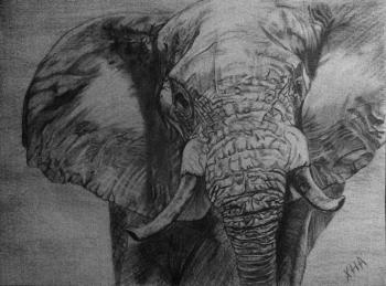 Elefant. Khubedzheva Nataliya