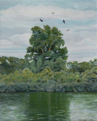 ������� ���������