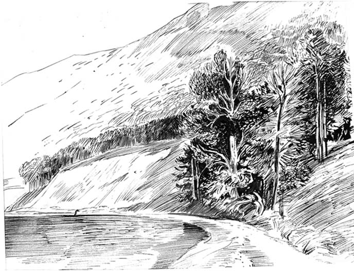 �������. ����������� ����. ��������� ������������ ��������� - 24/74