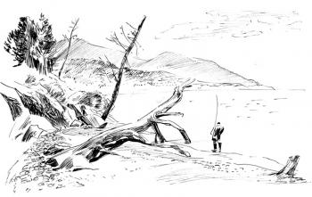 ������� ���������� ������������ ��������� - 22/74�