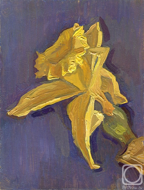 Yudaev-Racei Yuri. Narcissus (micro-sketch)