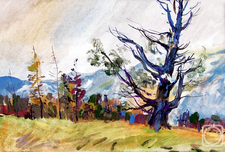 Vrublevski Yuri. Collection "Baikal Sketches - 20/85