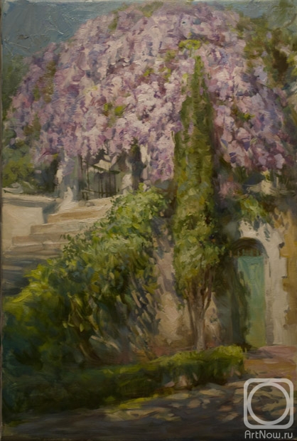 Gilgur Vlad. Simeiz corner with flowering wisteria