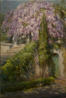 Simeiz corner with flowering wisteria. Gilgur Vlad