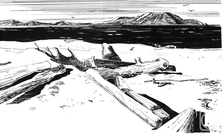 �������. ����������� ����. ��������� ������������ ��������� - 19/85