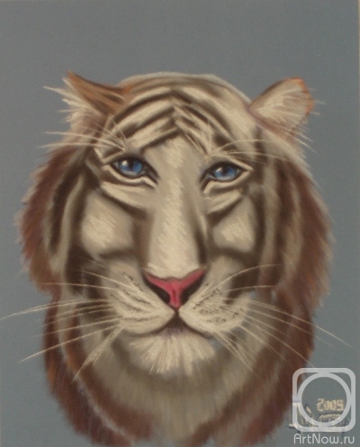 �������. �������� ������. ����� ����