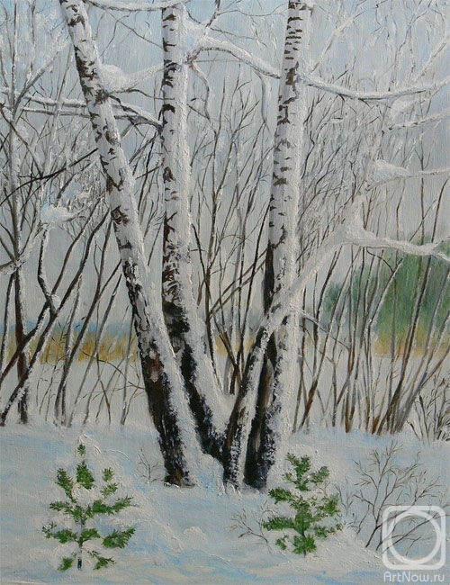 �������. �������� ���������. ������ ����