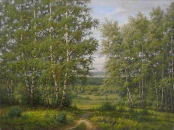 Footpath to wood lake