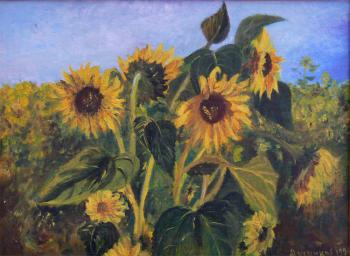 ������� �����������