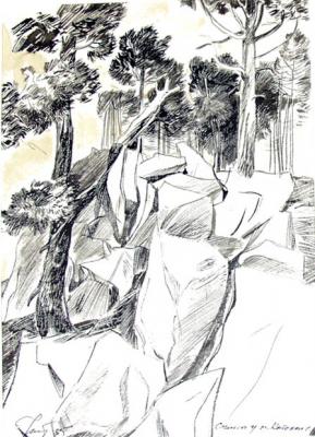 ������� ���������� ������������ ��������� - 17/ 85�