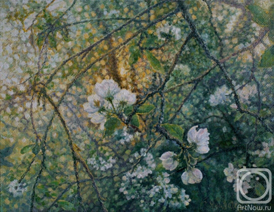 ������� ������ �� ������. ������ �����. � ����� ������