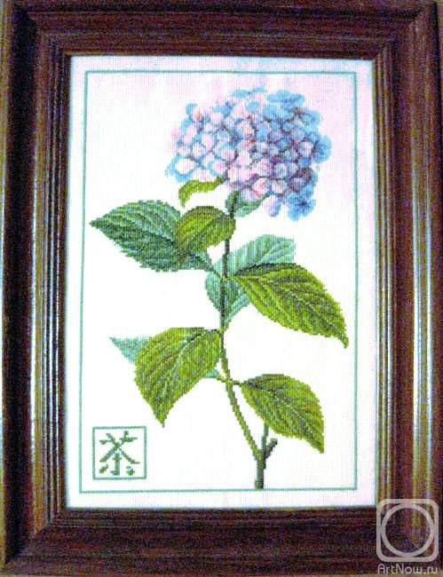 �������. ���������� �������. ���������