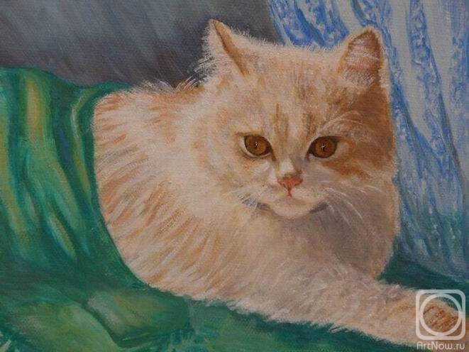 ������� ������ �� ������. ���������� �������. ���������