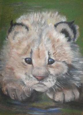 Small lynx. Dovbysh Yuliya