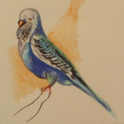 ����� 157 (��������� ����������). �������� ������