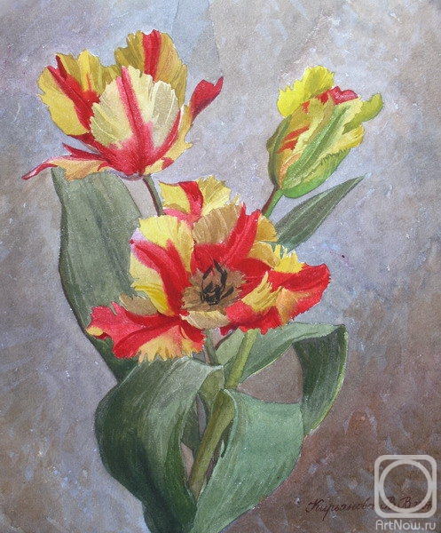Kiryanova Victoria. Variegated tulips