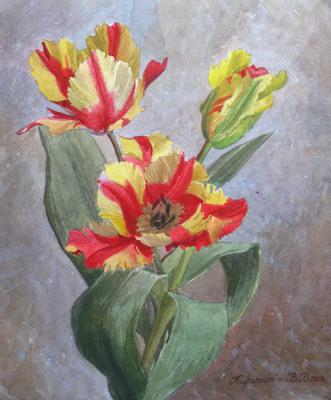 Variegated tulips. Kiryanova Victoria