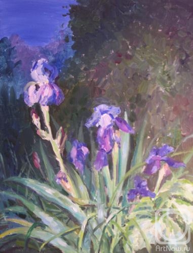 Gorbachevskaya Tatsiana. Evening irises