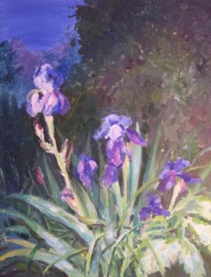 Evening irises. Gorbachevskaya Tatsiana