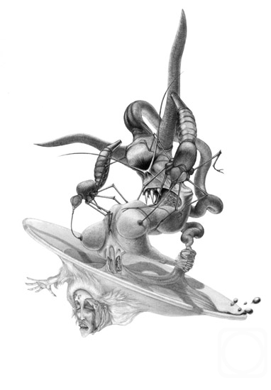 �������. ��������� �������. �����