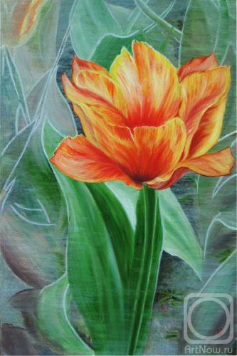 ������� ������ �� ������. ��������� ����. ������-������ ������