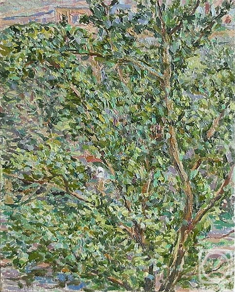 ������� ������ �� ������. ������ ����. ������