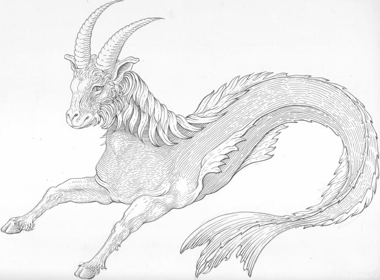 Vorontsov Dmitry. Capricorn