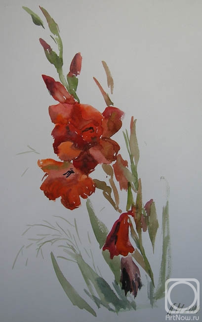 Mustafina-Khazieva Lilia. Gladiolus (sketch)