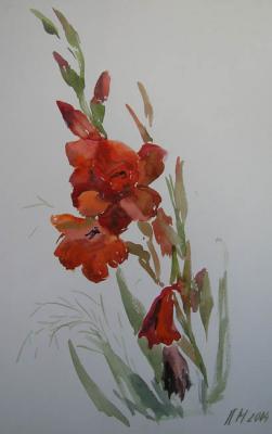 Gladiolus (sketch). Mustafina-Khazieva Lilia