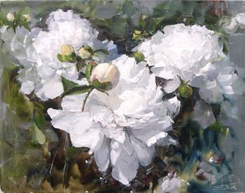 White Peonies