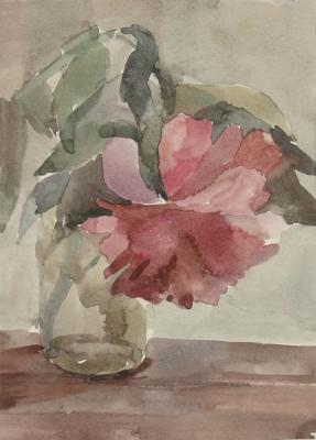 Peony in a glass