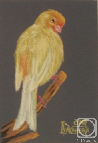 �������. �������� ������. ���������