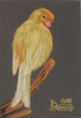 ������� ����������