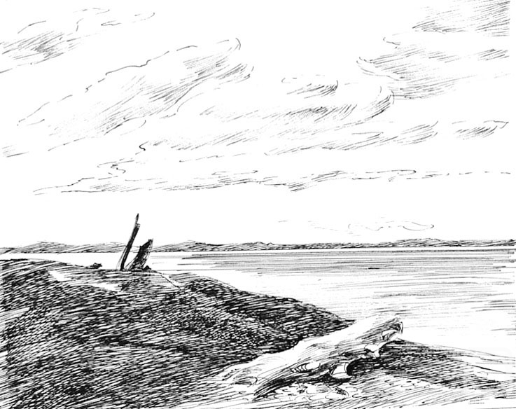 �������. ����������� ����. ��������� ������������ ��������� - 5/85