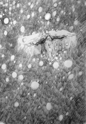 ������� ����� ������� ����� ���������