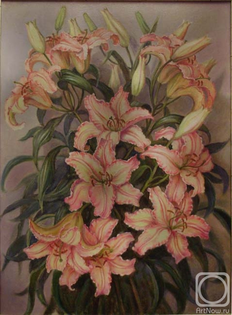 Shumakova Elena. Lily