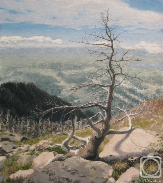 �������. ������� �������. ������� � �����