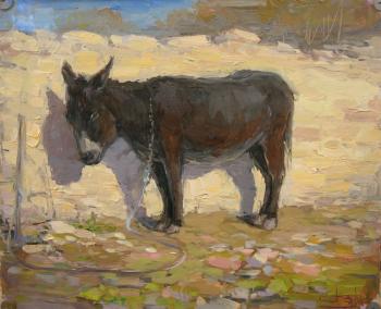 Borgustans donkey. Makarov Vitaly