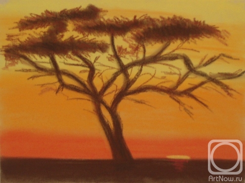 �������. �������� ������. ����� 162 (����� ������)