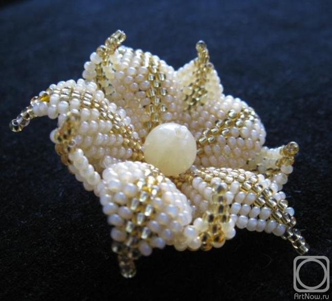 ������� �������. �������� ������ (�����)