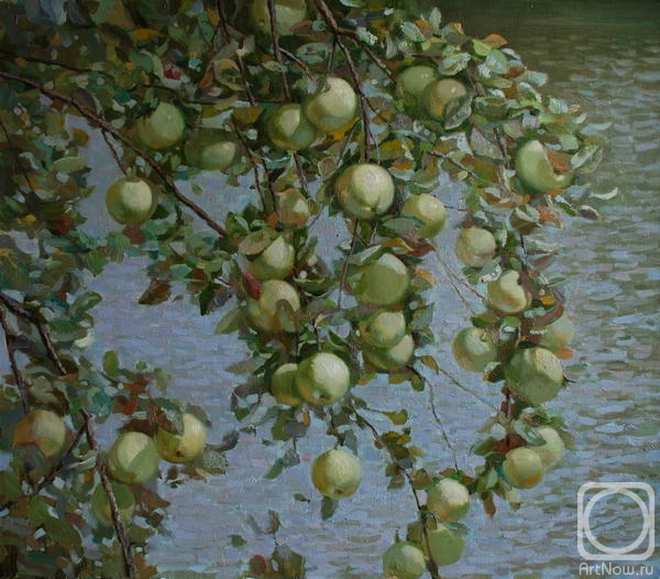 ������� ������ �� ������. ������� �����. ������ ��� ������