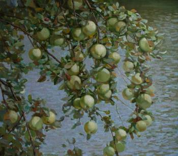 ������� ������� ��� ������