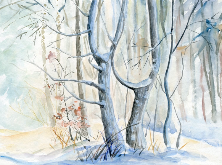 Tarasova Irena. Winter motif