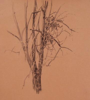 Dry tree. Kiryanova Victoria