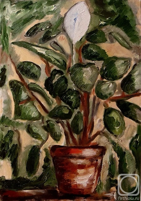 ������� ������ �� ������. ������ ��������. �� ����