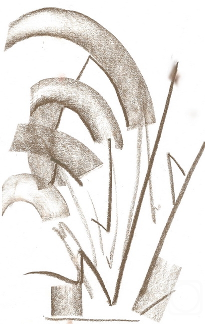 �������. �������� ����. ���� �����������