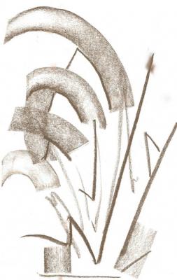 ������� ����� �����������