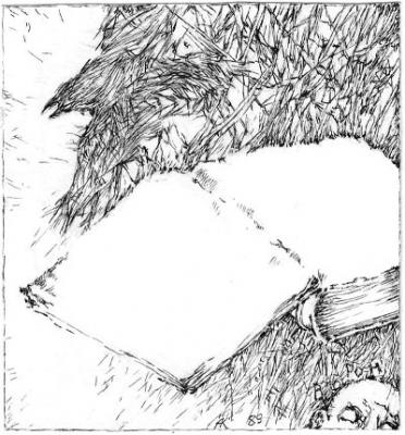 Картина «"Ворон" Шмуцтитул»